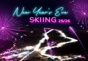 Image Alt parameter text