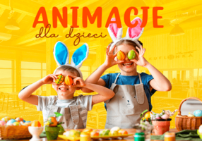 Image Alt parameter text