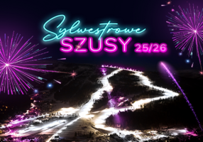 Image Alt parameter text