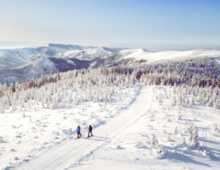 Kamera Szczyrk Biały Krzyż, Skrzyczne i Beskid Sport Arena