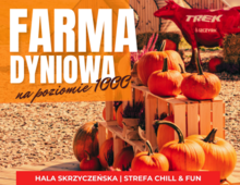 Farma Dyniowa na poziomie 1000